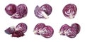 Set of fresh red cabbages on background. Banner design Royalty Free Stock Photo