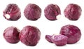 Set with fresh red cabbages Royalty Free Stock Photo