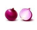 Set of Fresh Red Onion Bulbs on White Background Royalty Free Stock Photo