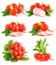 Set fresh red radish vegetables with green leaves Royalty Free Stock Photo