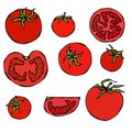 Set of Fresh Red Tomatoes. Half of Tomato, Slice of Tomato, Cherry Tomato. Isolated On a White Background. Realistic Doodle Cartoo Royalty Free Stock Photo