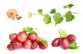 Set of fresh ripe grapes on white Royalty Free Stock Photo