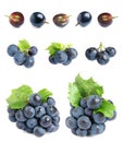 Set of fresh ripe grapes on white Royalty Free Stock Photo