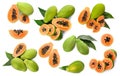 Set with fresh ripe papaya fruits on white background, top view Royalty Free Stock Photo