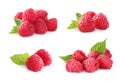 Set of fresh ripe raspberries with green leaves on background Royalty Free Stock Photo