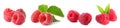 Set of fresh ripe raspberries with green leaves on white background. Banner design Royalty Free Stock Photo