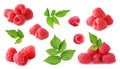 Set of fresh ripe raspberries with green leaves on background. Banner design Royalty Free Stock Photo