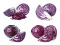 Set of fresh ripe red cabbages on background Royalty Free Stock Photo