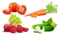 Set of fresh ripe vegetables of tomato, carrot, cucumber and beet. Realistic 3d vector illustration isolated on white background. Royalty Free Stock Photo