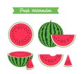 Set of fresh ripe watermelon and slices Royalty Free Stock Photo