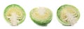 Set with fresh savoy cabbages Royalty Free Stock Photo