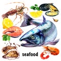 Set of fresh seafood, atlantic salmon fish, crayfish, oyster, sea mussels, salmon steak, boiled prawn and lemon, sea