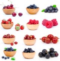 Set of fresh berry Royalty Free Stock Photo