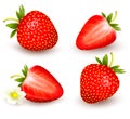 A set of fresh strawberry. Vector Royalty Free Stock Photo