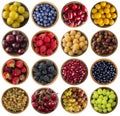 Set of fresh summer fruits and berries isolated on white. Collage of different colors fruits and berries on a white background.