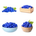 Set of fresh sweet blue raspberries on white Royalty Free Stock Photo