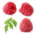 Set of fresh sweet raspberries and green leaves on background Royalty Free Stock Photo