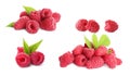 Set of fresh sweet raspberries and green leaves on background Royalty Free Stock Photo