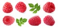 Set of fresh sweet raspberries and green leaves on background. Banner design Royalty Free Stock Photo