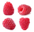 Set of fresh sweet raspberries on background Royalty Free Stock Photo