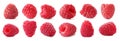 Set of fresh sweet raspberries on background. Banner design Royalty Free Stock Photo