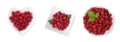 Set of fresh sweet raspberries on white background Royalty Free Stock Photo
