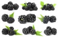 Set with fresh tasty blackberries and green leaves Royalty Free Stock Photo