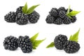 Set with fresh tasty blackberries Royalty Free Stock Photo