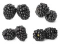 Set with fresh tasty blackberries Royalty Free Stock Photo