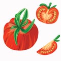 Set of fresh tasty red tomato vegetable, slices isolated on white background. Vector illustration in cartoon realistic style. Royalty Free Stock Photo