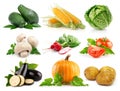 Set fresh vegetables with green leaves isolated Royalty Free Stock Photo