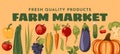 set of fresh vegetables harvest. Farm and agricultural market or festival poster, flyer.