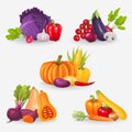 Set of fresh vegetables. Healthy food vector illustration Royalty Free Stock Photo