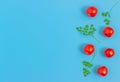 Set fresh vegetables,  tomatoes on a blue background.  Healthy food concept. Flat lay, top view Royalty Free Stock Photo