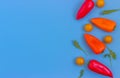 Set fresh vegetables,  tomatoes, peppers on a blue background.  Healthy food concept. Flat lay, top view Royalty Free Stock Photo