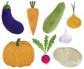 Set of fresh vegetables watercolor illustration vegetarianism ingredients cooking radish pumpkin carrot onion zucchini eggplant po Royalty Free Stock Photo