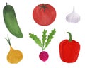 Set of fresh vegetables watercolor illustration vegetarianism ingredients cooking tomato cucumber radish onion garlic pepper Royalty Free Stock Photo