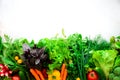 Set of fresh vegetables on a white background. Aromatic herbs, onion, avocado, broccoli, pepper bell, eggplant, cabbage Royalty Free Stock Photo