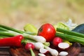 Set of fresh vegetables on wooden table