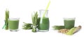 Set of fresh wheat grass juice on background. Banner design Royalty Free Stock Photo