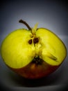 Set of fresh whole and cut apple and slices isolated on white background. Royalty Free Stock Photo