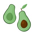 Set of fresh whole and half avocado isolated on white background. Organic food. Cartoon style. Vector illustration for Royalty Free Stock Photo