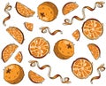 Set of fresh whole, half, cut slice and leaves orange fruit isolated Royalty Free Stock Photo