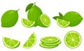 Set of fresh whole, half, cut slice lime fruits isolated on white background. Summer fruits for healthy lifestyle. Organic fruit. Royalty Free Stock Photo
