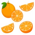 Set of fresh whole, half, cut slice orange fruit isolated on white background. Tangerine. Organic fruit. Flat style. Vector Royalty Free Stock Photo