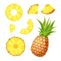 Set of fresh whole, half, cut slice and piece of pineapple isolated on white background. Royalty Free Stock Photo