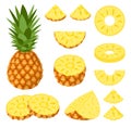 Set of fresh whole, half, cut slice pineapple fruits isolated on white background. Summer fruits for healthy lifestyle. Organic Royalty Free Stock Photo