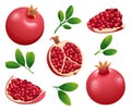 Set of fresh whole, half and cut slice pomegranate Royalty Free Stock Photo