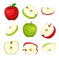 Set of fresh whole, half, cut slice of red and green apple. Royalty Free Stock Photo