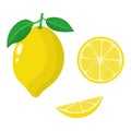 Set of fresh whole, half and slice lemon isolated on white background. Organic fruits. Cartoon style. Vector illustration for any Royalty Free Stock Photo